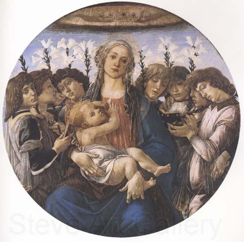 Sandro Botticelli Madonna and child with eight Angels or Raczinskj Tondo France oil painting art